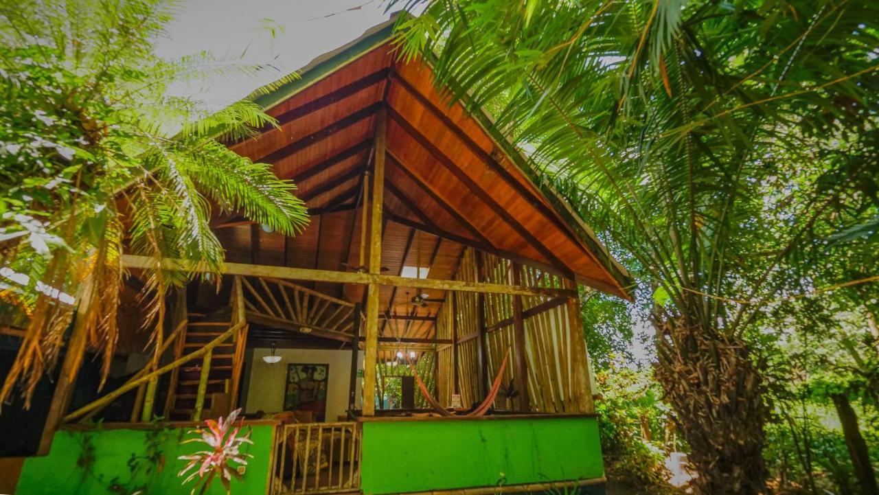 Chosa Manglar Suites & Cabins Puerto Jimenez Ngoại thất bức ảnh