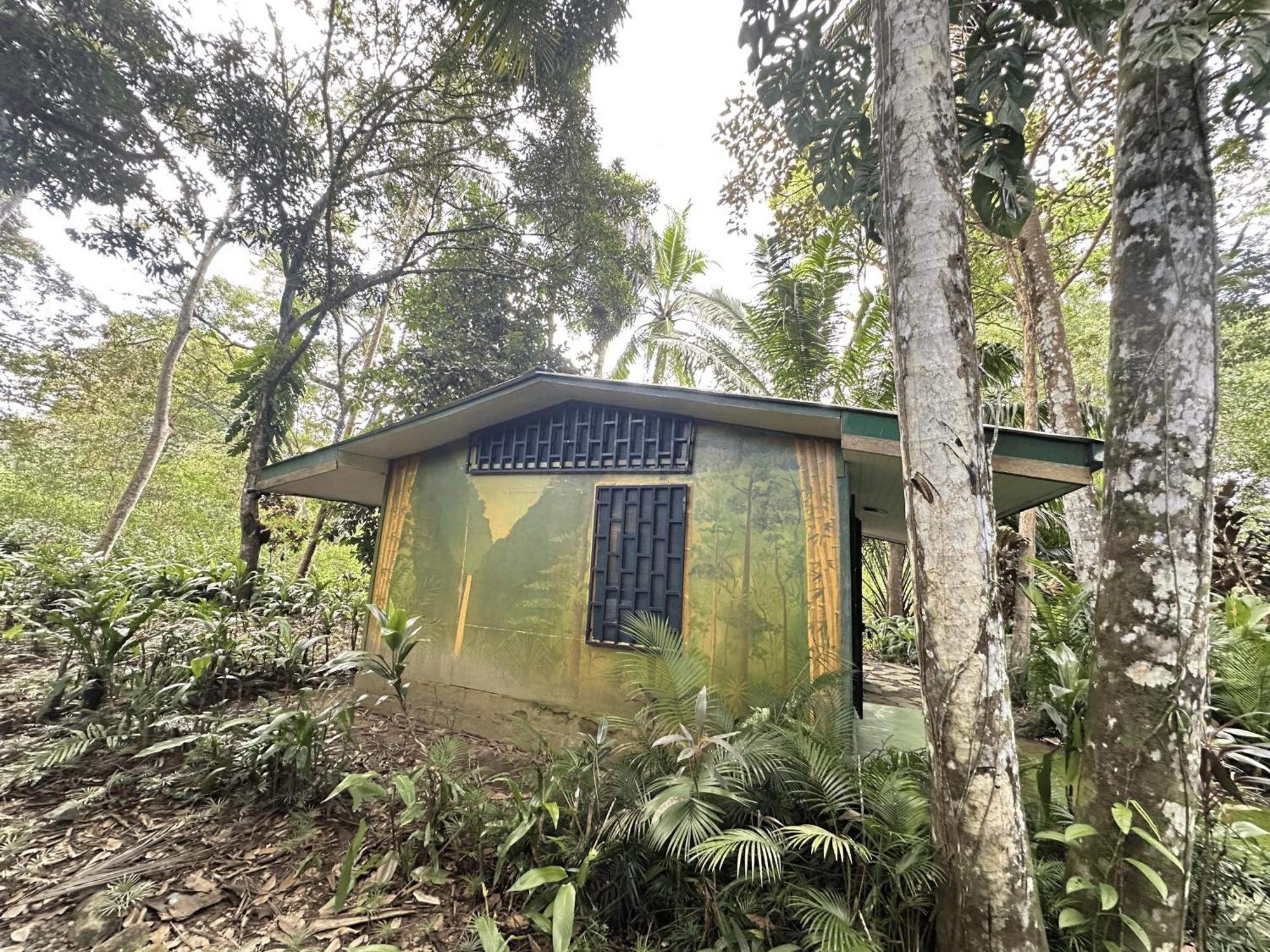 Chosa Manglar Suites & Cabins Puerto Jimenez Ngoại thất bức ảnh