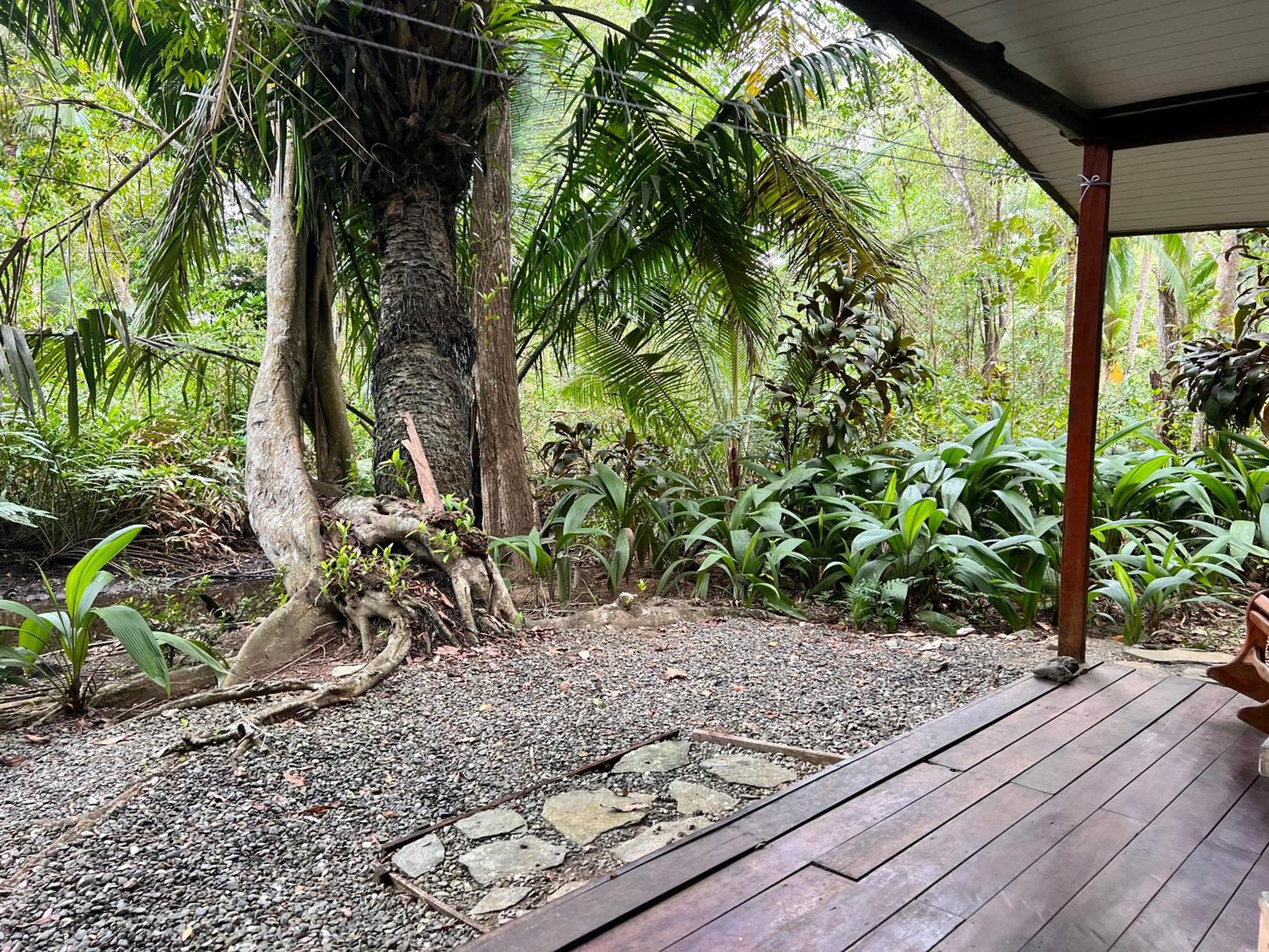 Chosa Manglar Suites & Cabins Puerto Jimenez Ngoại thất bức ảnh