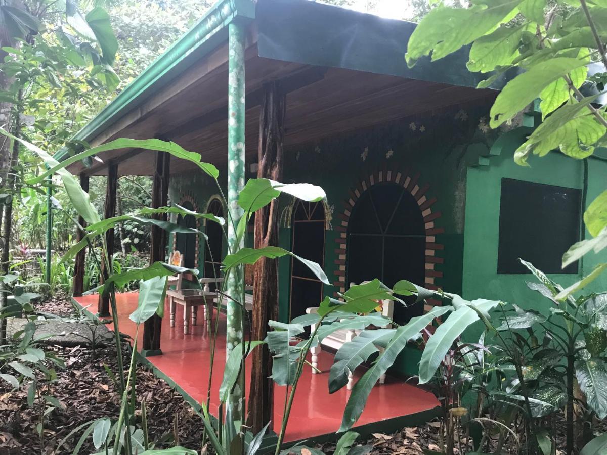 Chosa Manglar Suites & Cabins Puerto Jimenez Ngoại thất bức ảnh